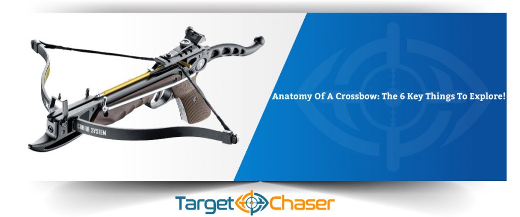 Anatomy-Of-A-Crossbow-The-6-Key-Things-To-Explore