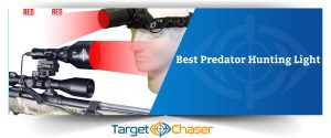 Best Predator Hunting Light – Top 10 in 2023 [Guide & Top Picks]