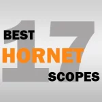 Best Scope For 17 Hornet