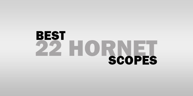 Best Scope For 22 Hornet