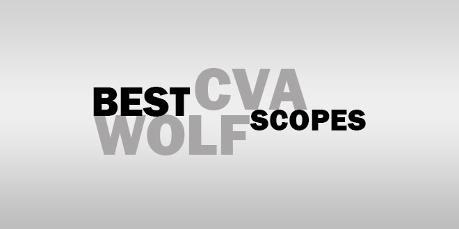 Best Scope For CVA Wolf