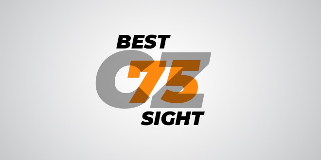 Best Sights For CZ 75