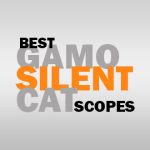 Best Scope For Gamo Silent Cat