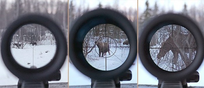 Does Scope Magnification Affect Accuracy