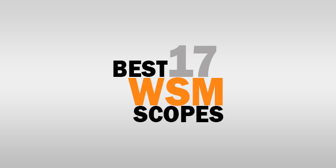 Best 17 WSM Scopes