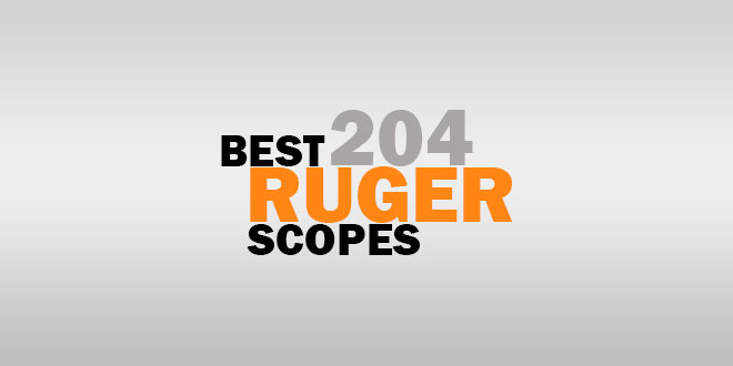Best 204 Ruger Scopes