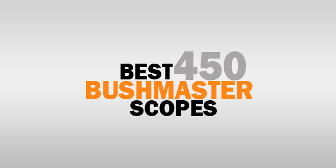 Best 450 Bushmaster Scopes