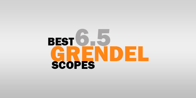 Best 6.5 Grendel Scopes
