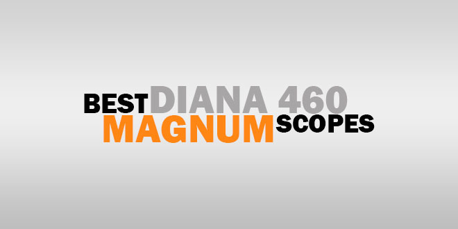 Best Diana 460 Magnum Scopes