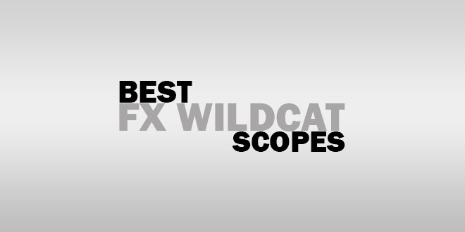 Best FX Wildcat Scopes