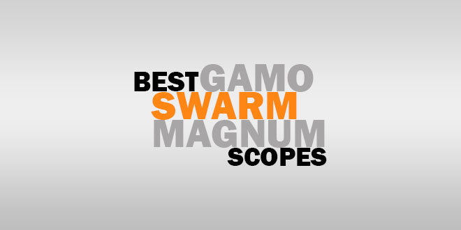 Best Gamo Swarm Magnum Scopes