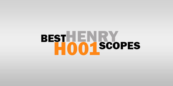 Best Henry H001 Scopes