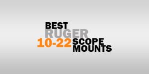 Best Scope Mount For Ruger 10 22 – Reviews w/FAQs