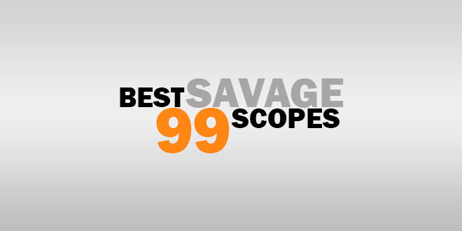 Best Savage 99 Scopes