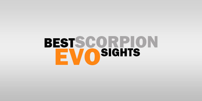Best Scorpion EVO Sights