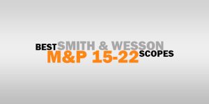 Best Scope For Smith and Wesson M&P 15-22: Reviews w/FAQs
