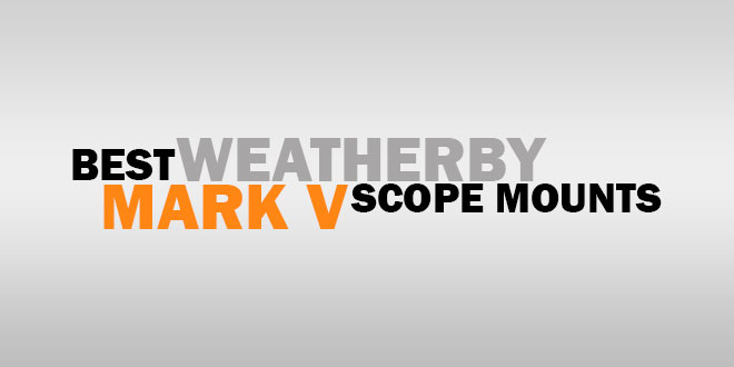 Best Weatherby Mark V Scope Mounts