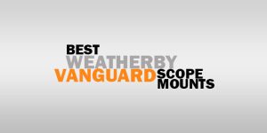 Best Scope Mount For Weatherby Vanguard – Reviews w/FAQs