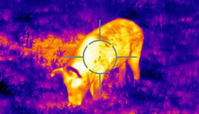Can Thermal Scope See Through Smoke
