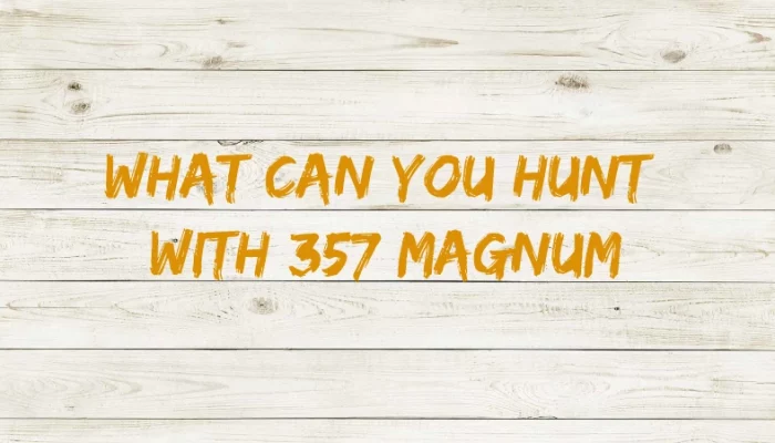 What Can You Hunt With 357 Magnum